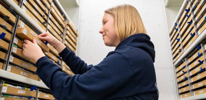 Nainen näytearkistossa