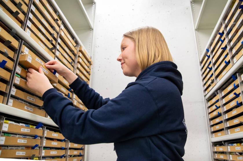 Nainen näytearkistossa