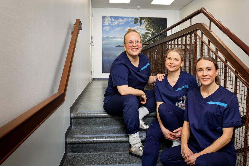 Oikeushoitajat Maria Rounioja, Mia Karvonen ja Liisi Lappalainen