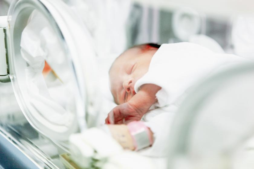 Interpreting newborn infants’ EEGs with AI