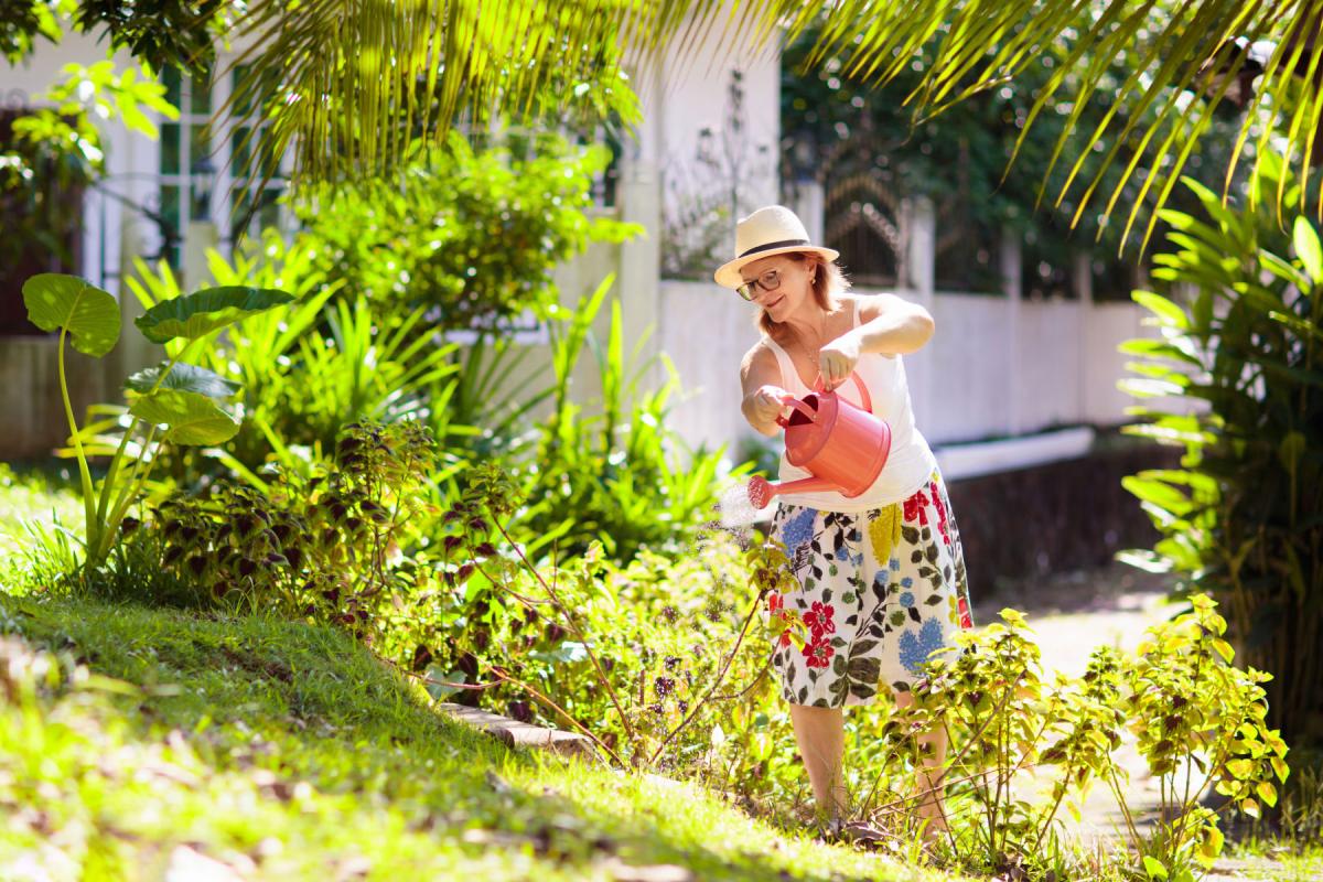 En person som antas vara en kvinna vattnar buskar i en somrig trädgård.