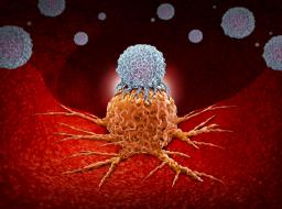 Immunoterapiassa potilaan puolustusjärjestelmän soluja aktivoidaan hyökkäämään tehokkaammin syöpäsoluja vastaan.
