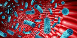 Mallinnuskuva punaisesta suolistosta, jossa näkyy sinivihreitä mikrobiomeja.