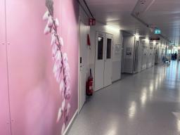 Leikkausosaston käytävällä on iso kukkavalokuva.