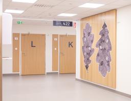 vaalea osastokäytävä, jossa suuri lehtitaideteos seinällä